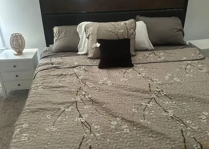Pet Friendly 3br In Italian Village Near Short North Ohio State